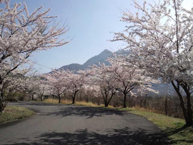 Itsubinosato Konuk evi Yufu Dış mekan fotoğraf