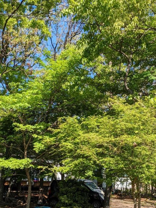 Itsubinosato Konuk evi Yufu Dış mekan fotoğraf