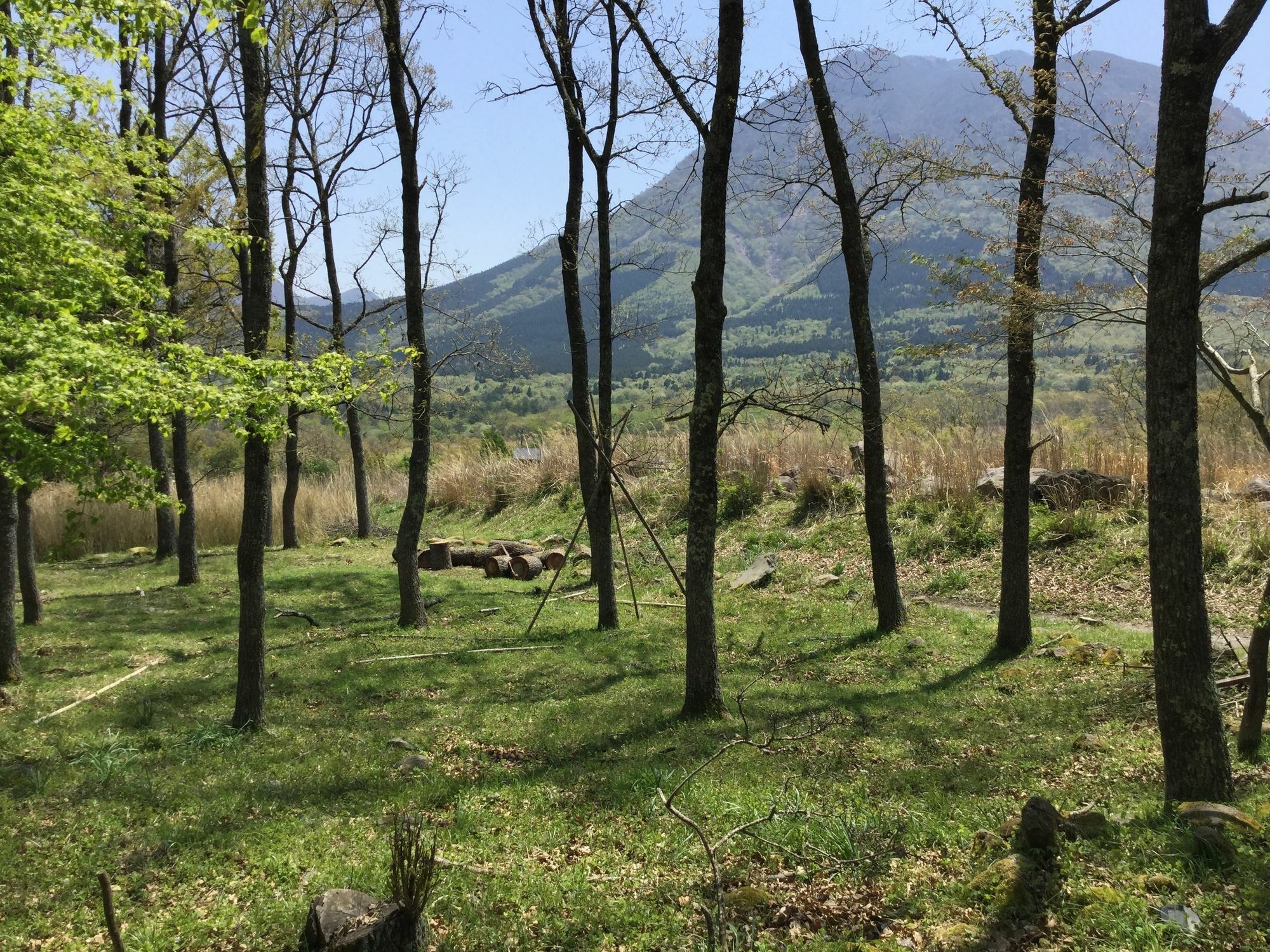 Itsubinosato Konuk evi Yufu Dış mekan fotoğraf